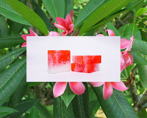 Handgemachte Seife Frangipani